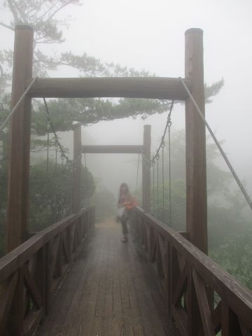 霧にけむる ♫六甲高山植物園_d0098183_19494848.jpg