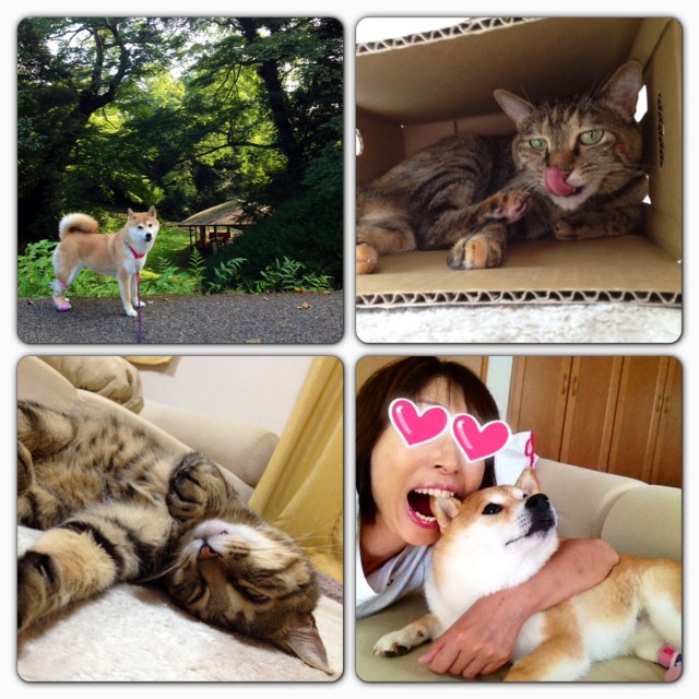 連休バンザイ\(^o^)/_a0126590_8165832.jpg