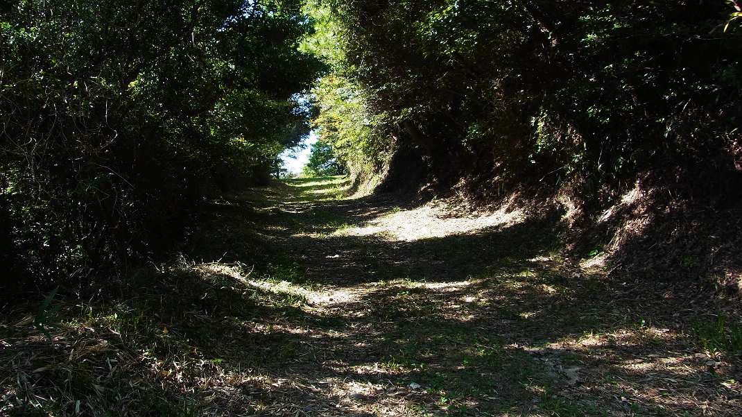 a0152692_1816348.jpg