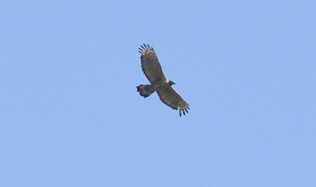 b0078795_2171285.jpg