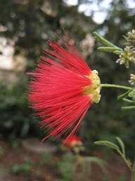 c0117898_2021236.jpg