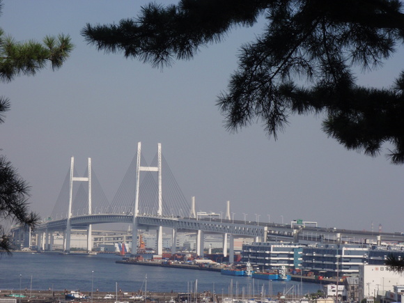 a0288500_17391.jpg