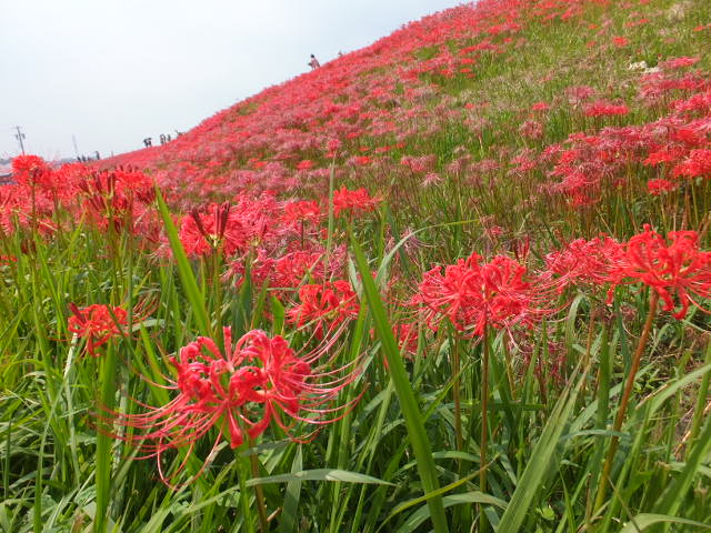 a0271502_17281976.jpg