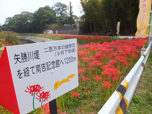 a0271502_1738148.jpg