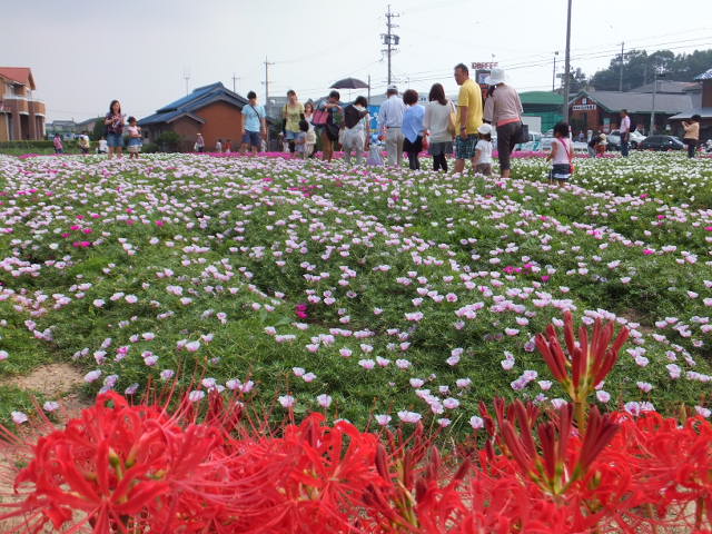 a0271502_17583036.jpg