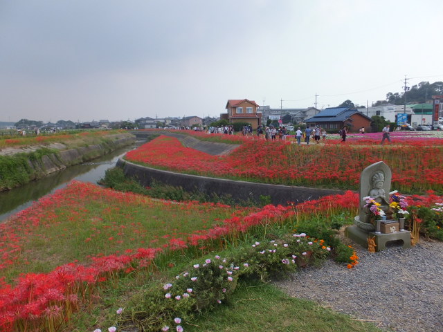 a0271502_17592434.jpg