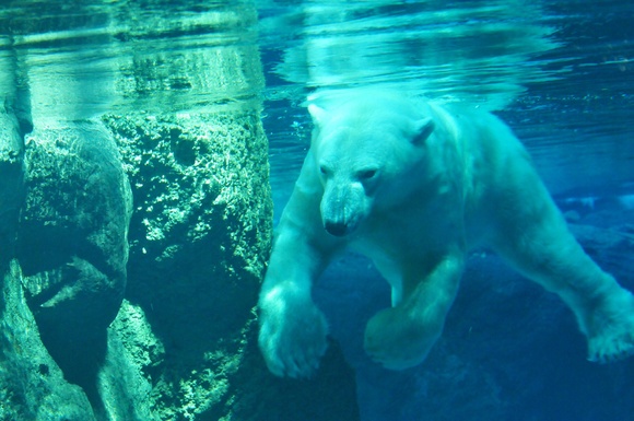 e0319302_178812.jpg