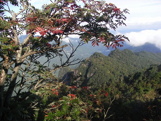 f0187402_20173366.jpg