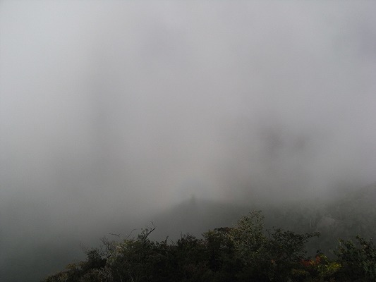 f0187402_20184150.jpg