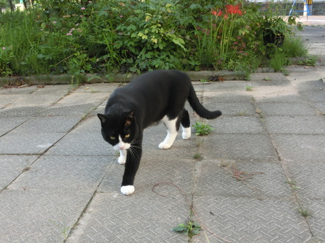 a0203003_21384360.jpg