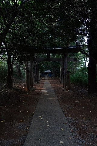 あーーるけ　歩け　歩いたぞ！3時間40分　その２　八坂神社編_b0147203_21551840.jpg