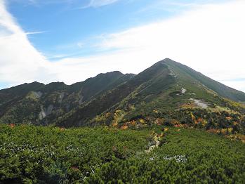 d0032405_21394100.jpg
