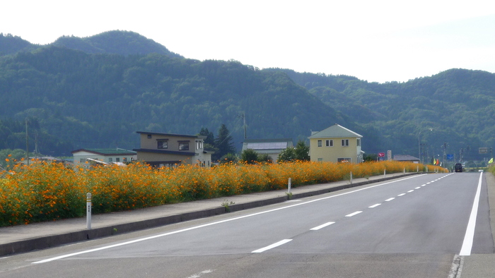 連休中日の里山風景_a0214206_1953228.jpg