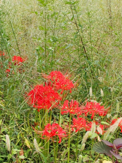 c0156908_04321100.jpg