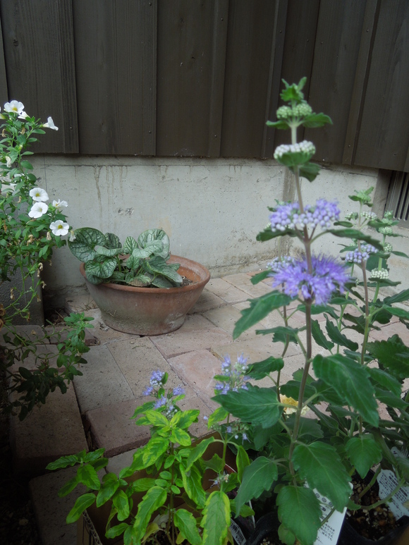 f0297809_22221115.jpg