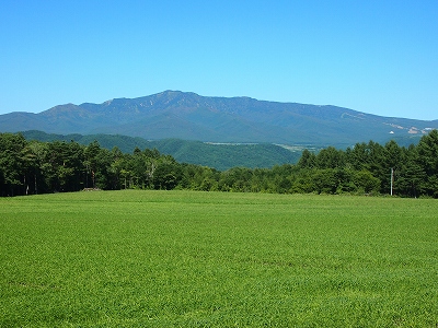 b0207912_18113561.jpg