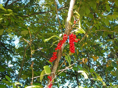 b0207912_18113930.jpg