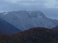 e0126914_1134643.jpg