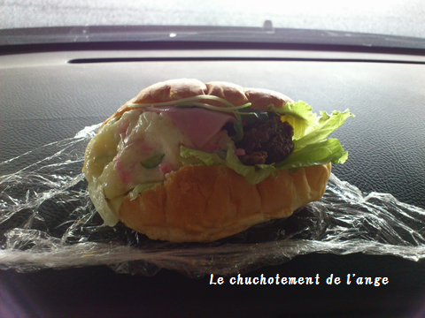 b0235915_1044876.png