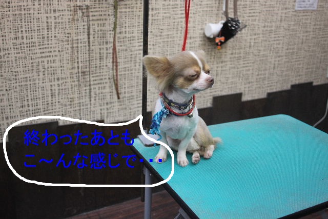 こんばんわ！！_b0130018_23234037.jpg