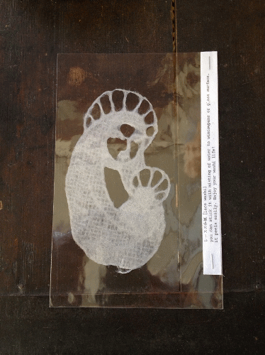埼玉県 和紙作家 森田千晶さん の 作品 【入荷情報②】_a0251920_14143477.gif