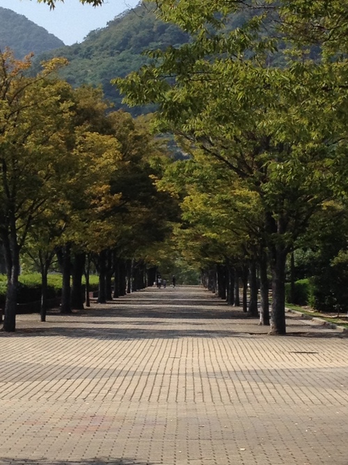 香川県総合運動公園の遊具☆_d0204120_1625634.jpg