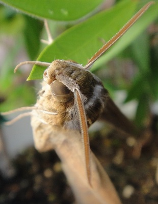 f0000521_6902.jpg