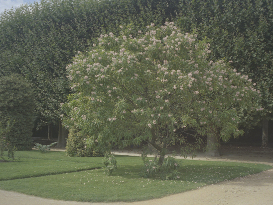 serendipty_b0212922_14313351.jpg