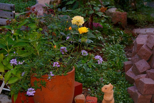 f0170524_12444191.jpg