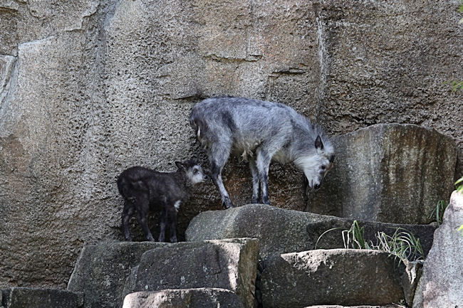 f0224624_027493.jpg