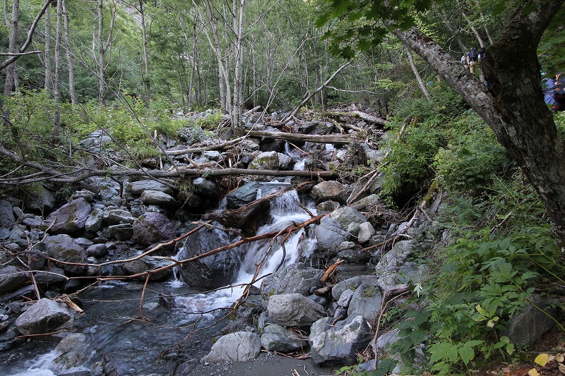 e0284726_944516.jpg
