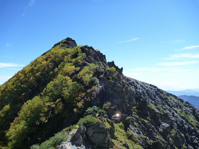 e0284726_957689.jpg
