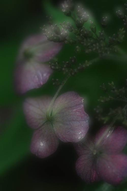 a0248728_2119840.jpg