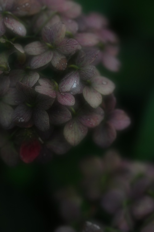 a0248728_21204931.jpg