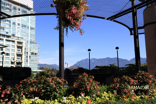 c0024729_1694097.jpg