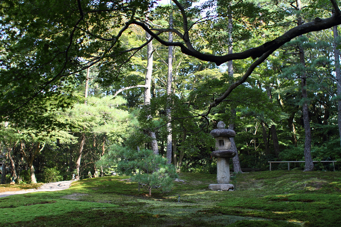いにしえの奈良へ －吉城園－_b0169330_15114895.jpg