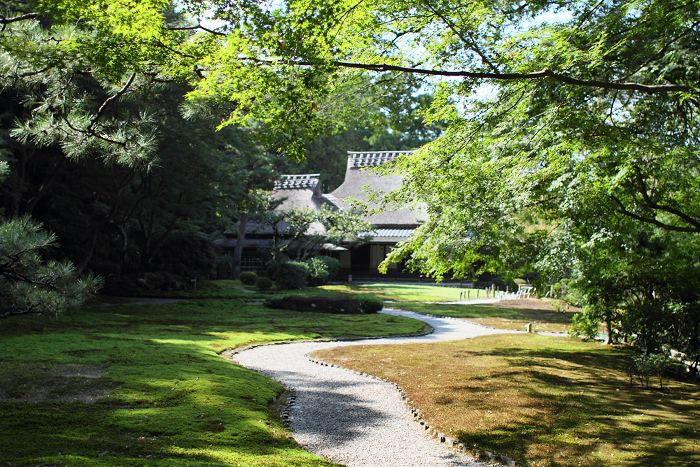 いにしえの奈良へ －吉城園－_b0169330_15153858.jpg