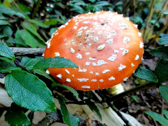 d0235336_20535899.jpg