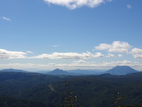 d0235336_20565289.jpg