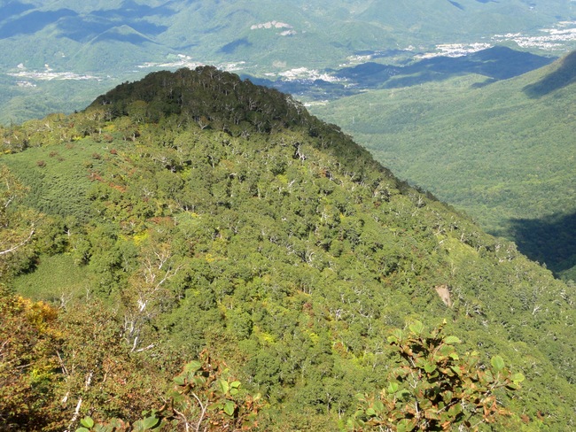 d0235336_20574694.jpg