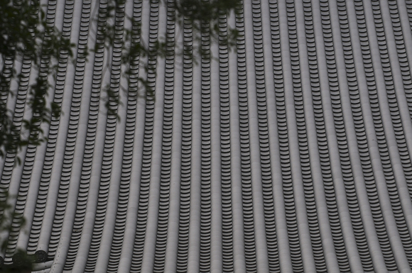 d0138737_1740884.jpg