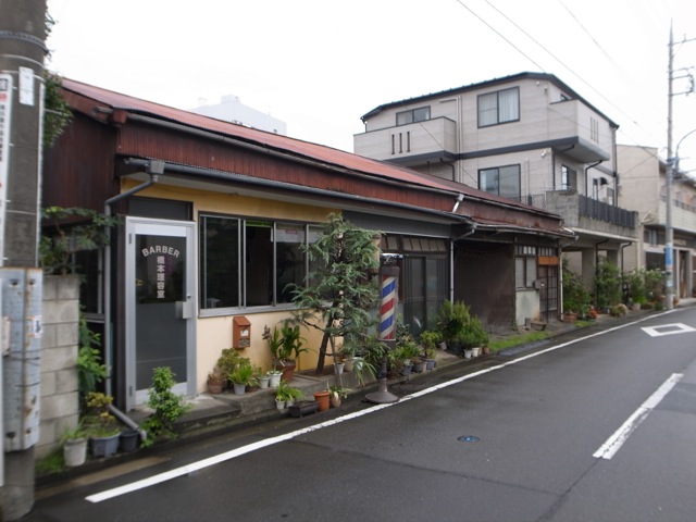 味のある中華屋で、さらっと一杯したい今日この頃_d0057843_227358.jpg