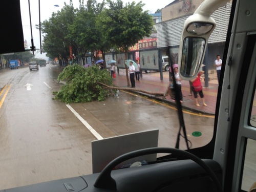 台風襲来_e0026744_10429100.jpg