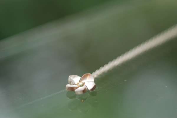 f0229844_4385346.jpg