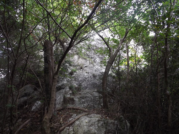 a0206345_2028668.jpg