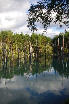 f0045846_2037257.jpg