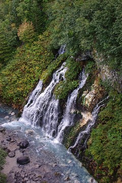 f0045846_2040054.jpg