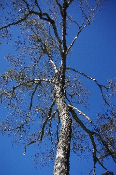 f0045846_20453572.jpg