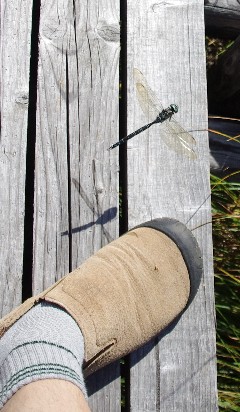 f0045846_2102661.jpg