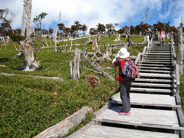 d0048350_19441663.jpg